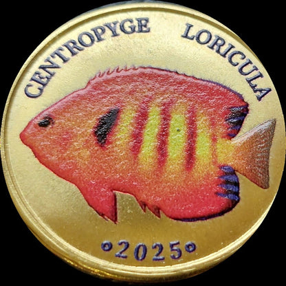 Malezja Labuan 5 ringit Centropyge Loricua 2025