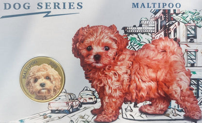 Mjanma Pagan 3 $ Psy - Maltipoo 2025
