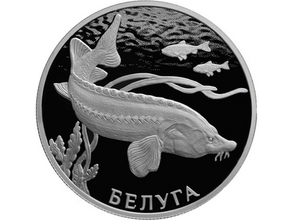Rosja 2 ruble Bieługa 2019 Ag