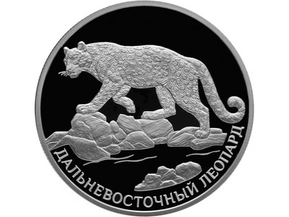 Rosja 2 ruble Lampart amurski 2019 Ag