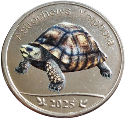 Seszele Praslin 5 rupii Żółw promienisty 2025
